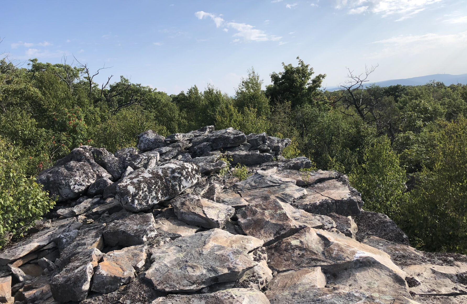 Rocky Mountain Habitat